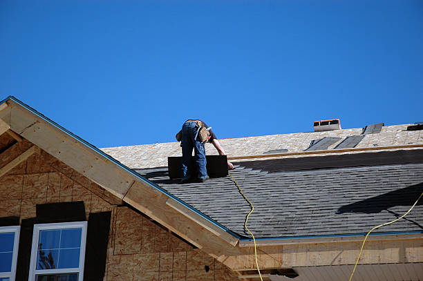 Best Roof Gutter Cleaning  in Orange, VA
