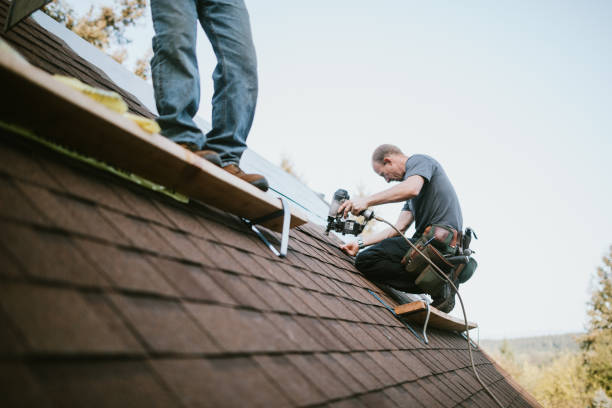 Quick and Trustworthy Emergency Roof Repair Services in Orange, VA
